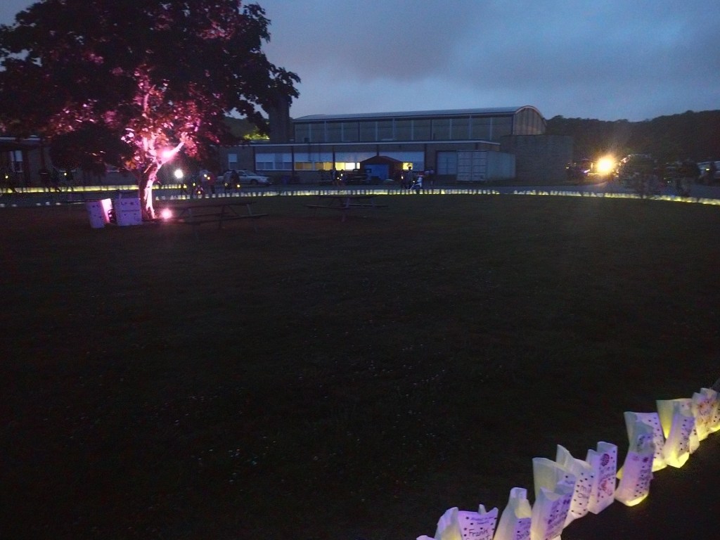 So What Did I Miss?? (2020&nbsp;update)